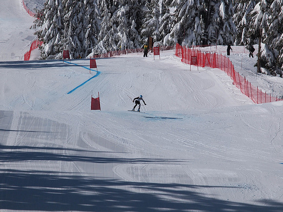 SunCup 2014-40