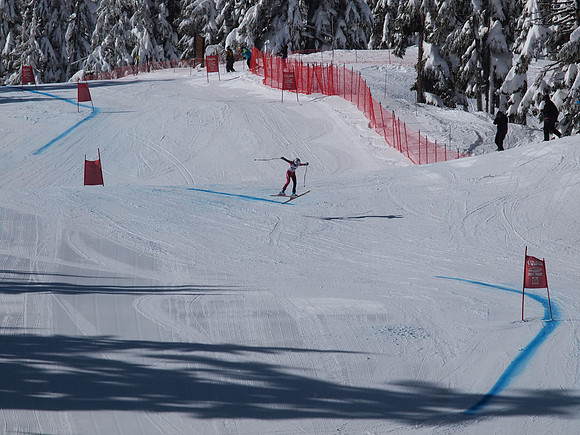 SunCup 2014-155