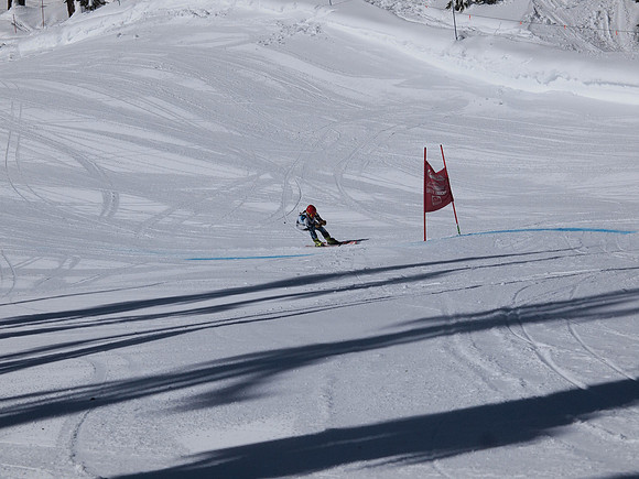 SunCup 2014-148