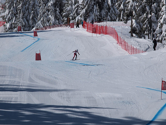 SunCup 2014-154