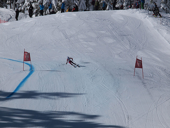 SunCup 2014-156