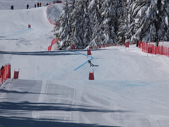 SunCup 2014-124