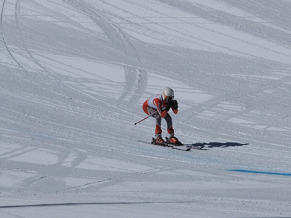SunCup 2014-185