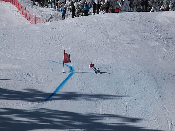 SunCup 2014-131