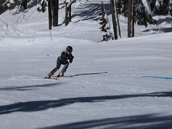 SunCup 2014-169