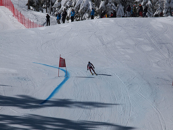 SunCup 2014-201