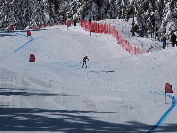 SunCup 2014-140