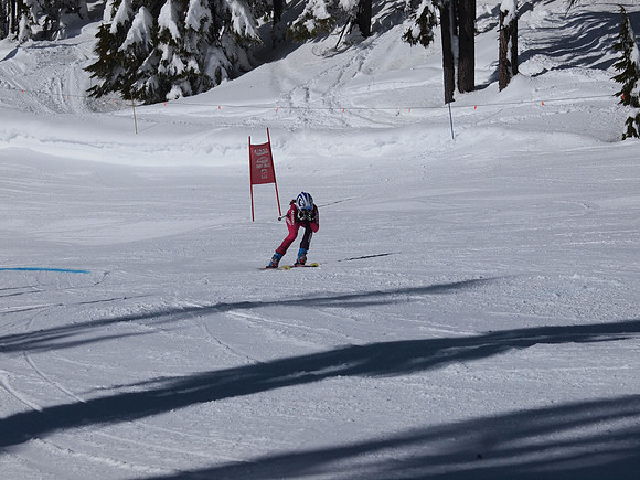SunCup 2014-160