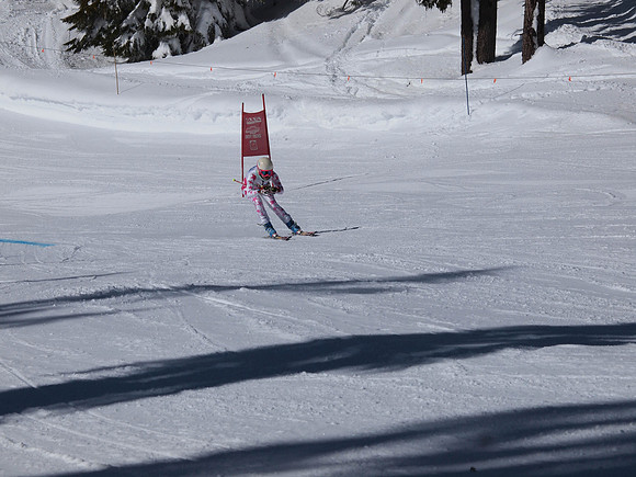 SunCup 2014-137