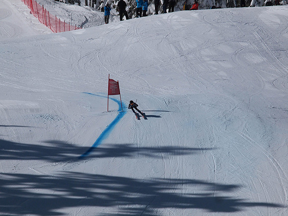 SunCup 2014-141