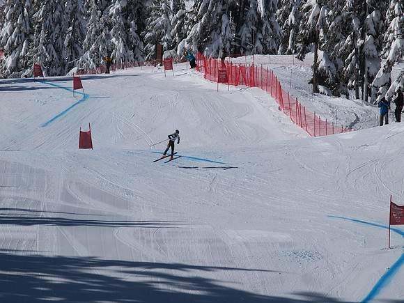 SunCup 2014-196
