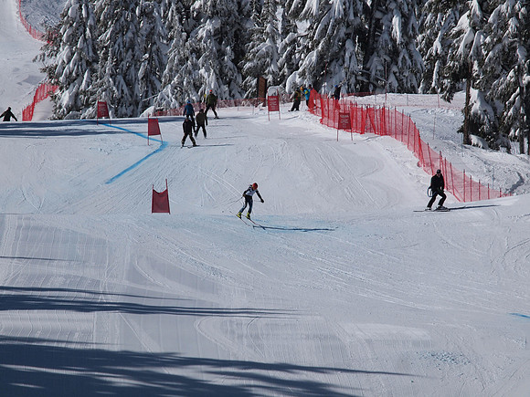 SunCup 2014-146