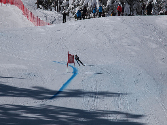 SunCup 2014-89