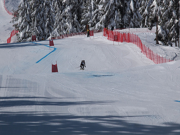 SunCup 2014-25
