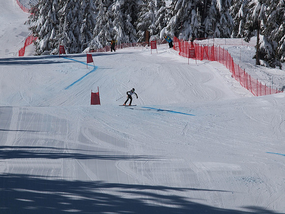 SunCup 2014-195