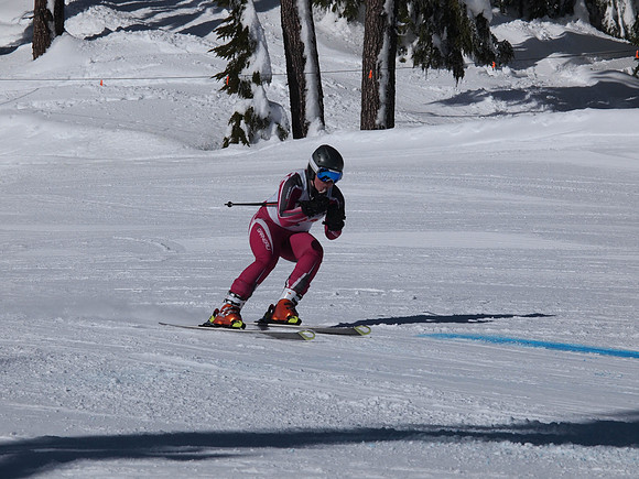 SunCup 2014-204