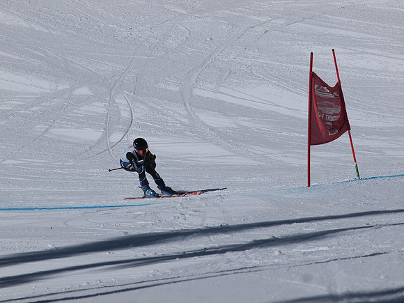SunCup 2014-144
