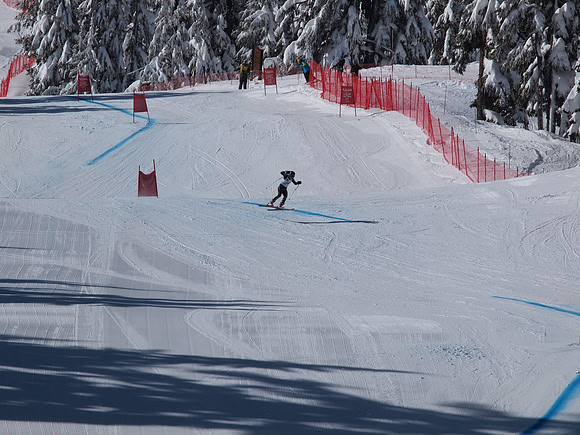 SunCup 2014-164