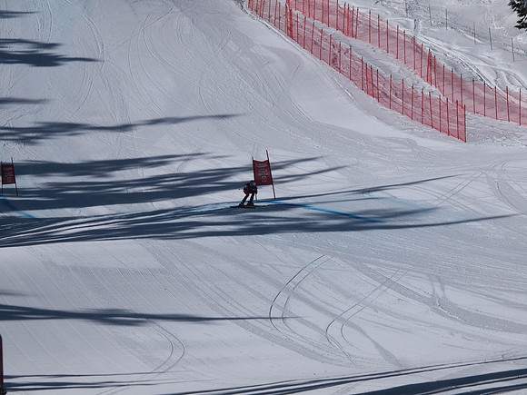 SunCup 2014-158