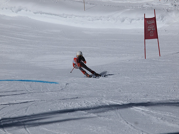 SunCup 2014-190