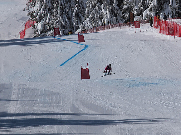 SunCup 2014-22