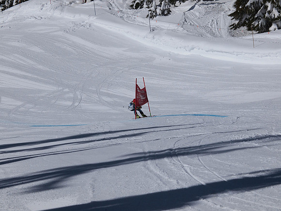 SunCup 2014-149