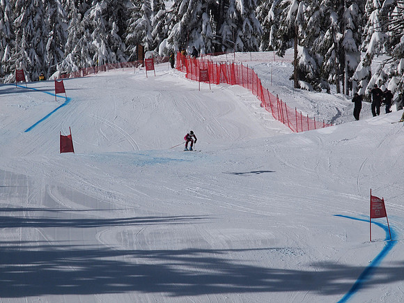 SunCup 2014-24