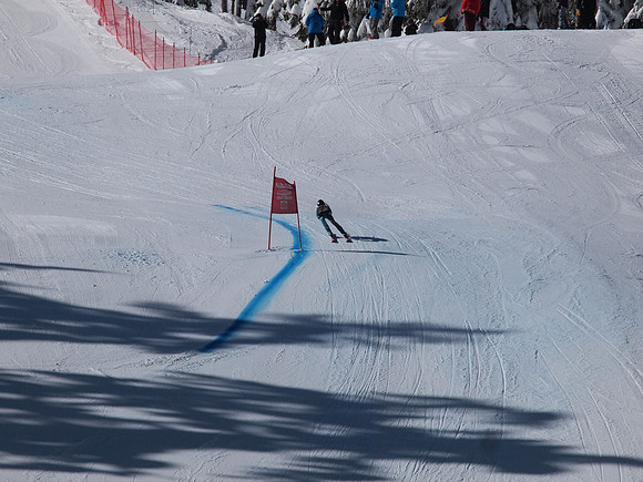 SunCup 2014-90