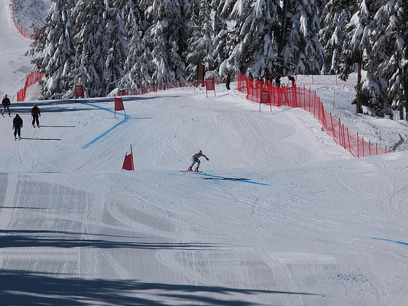 SunCup 2014-206