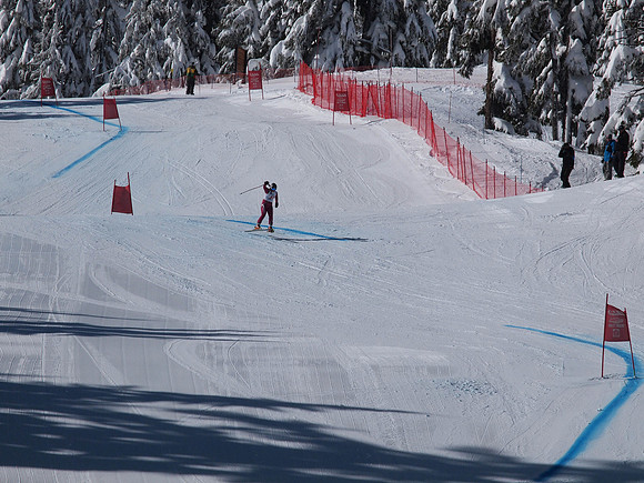 SunCup 2014-200