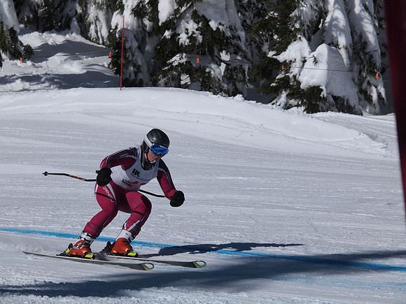 SunCup 2014-205
