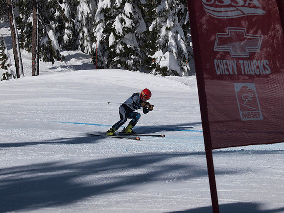 SunCup 2014-150