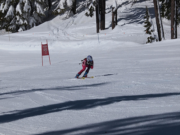 SunCup 2014-161