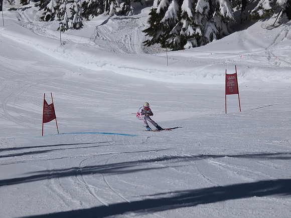 SunCup 2014-135