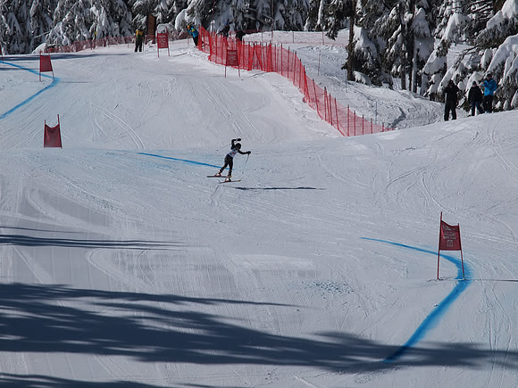 SunCup 2014-165