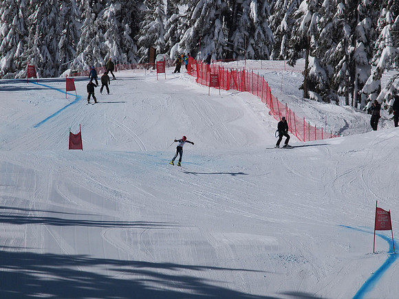 SunCup 2014-147