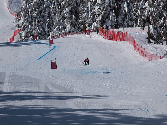 SunCup 2014-23